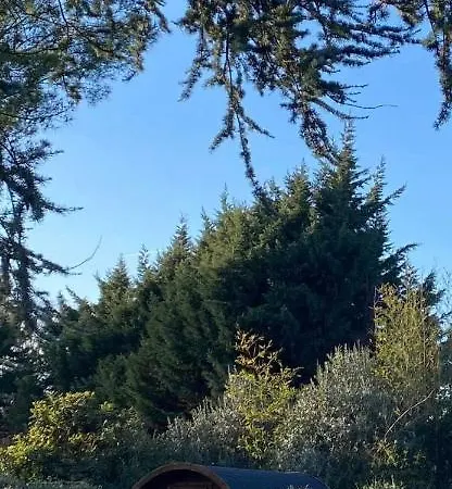 Le Tonneau De Negra 캠프장 Montesquieu-Lauragais